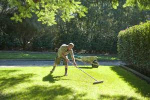Top Dressing or Renovating your lawn in winter? it's not a great idea Green Lawn Supplies Top Dressing or Renovating your lawn in winter? it's not a great idea Green Lawn Supplies