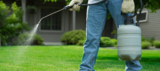 Top 5 Weed Killers for Lawns