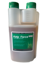 GLS Kelp Force - Concentrated Kelp Extract