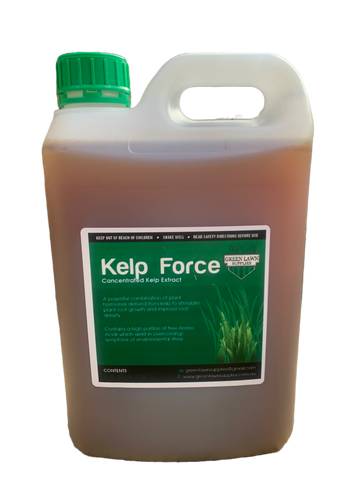 GLS Kelp Force - Concentrated Kelp Extract