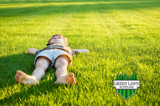 Lawn Maintenance - A Step By Step Guide