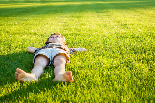 When To Stop Granular Fertiliser - Winter