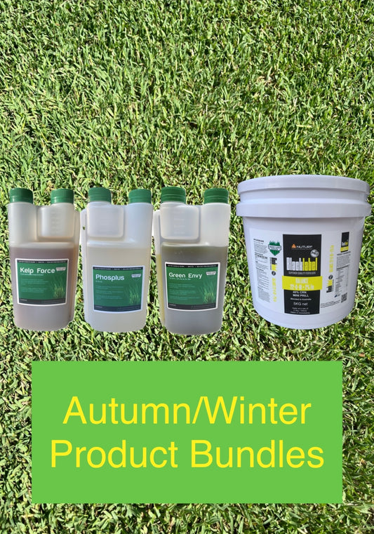 Autumn Lawn Maintenance