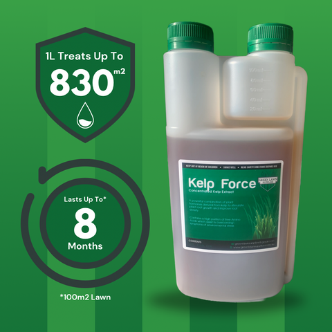 GLS Kelp Force - Concentrated Kelp Extract