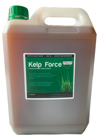 GLS Kelp Force - Concentrated Kelp Extract