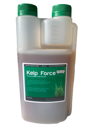 GLS Kelp Force - Concentrated Kelp Extract